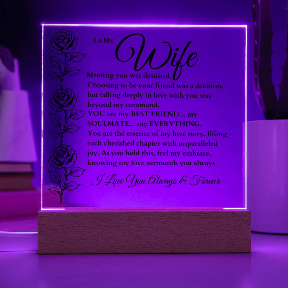 Wife - Fate/Destiny