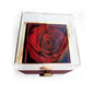 Beautiful Wife (Mother's Day) - Rose Box