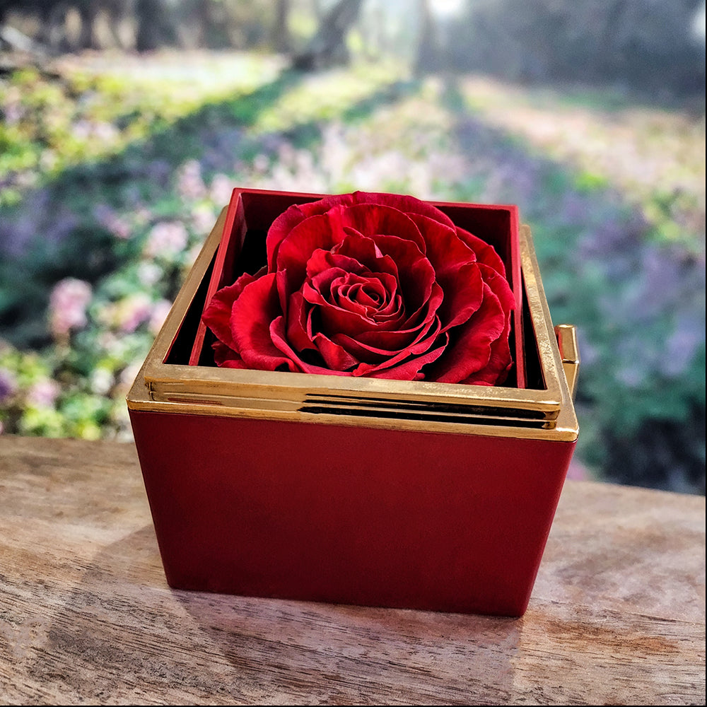 Beautiful Mom (Mother's Day)- Rose Gift